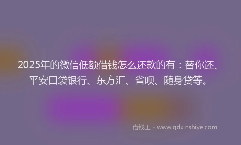 2025年的微信低额借钱怎么还款的有：替你还、平安口袋银行、东方汇、省呗、随身贷等。