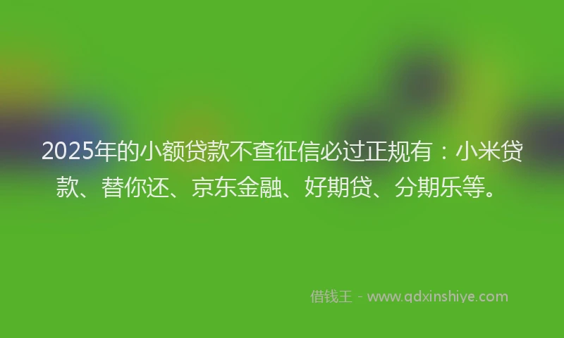 2025年的小额贷款不查征信必过正规有：小米贷款、替你还、京东金融、好期贷、分期乐等。
