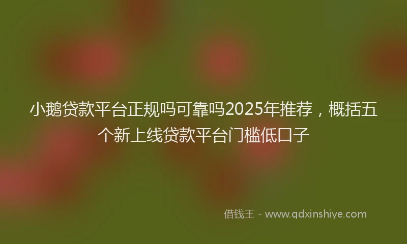 小鹅贷款平台正规吗可靠吗2025年推荐，概括五个新上线贷款平台门槛低口子