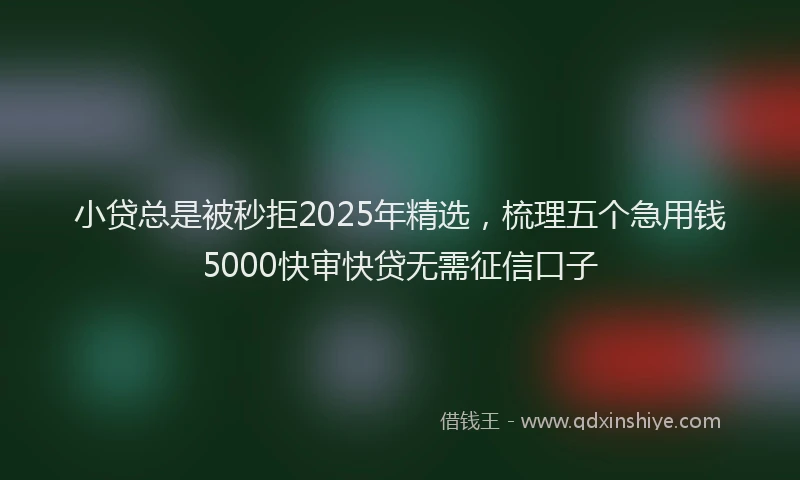 小贷总是被秒拒2025年精选，梳理五个急用钱5000快审快贷无需征信口子