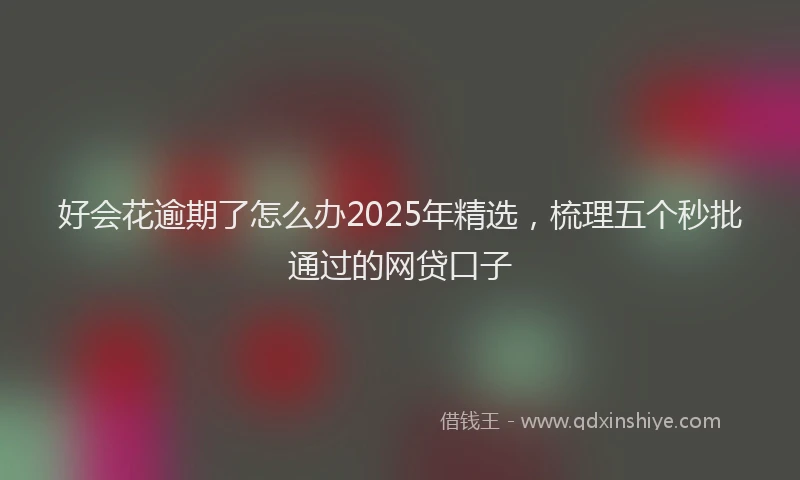 好会花逾期了怎么办2025年精选，梳理五个秒批通过的网贷口子
