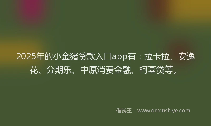 2025年的小金猪贷款入口app有：拉卡拉、安逸花、分期乐、中原消费金融、柯基贷等。