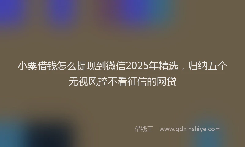 小粟借钱怎么提现到微信2025年精选，归纳五个无视风控不看征信的网贷