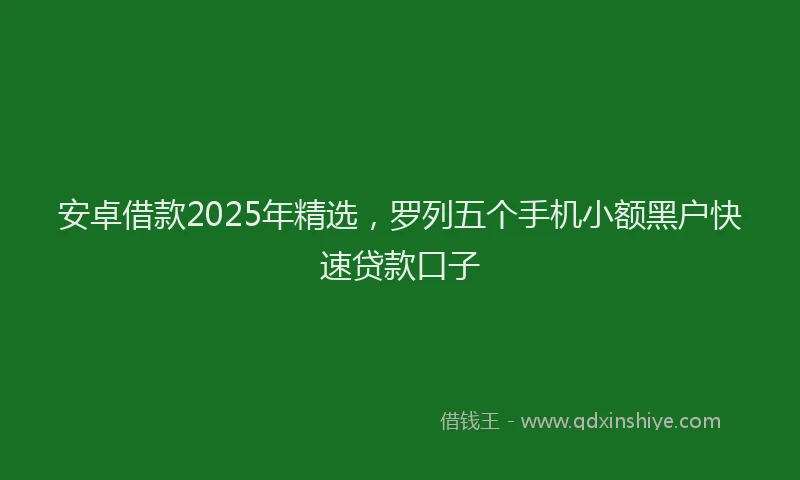 安卓借款2025年精选，罗列五个手机小额黑户快速贷款口子