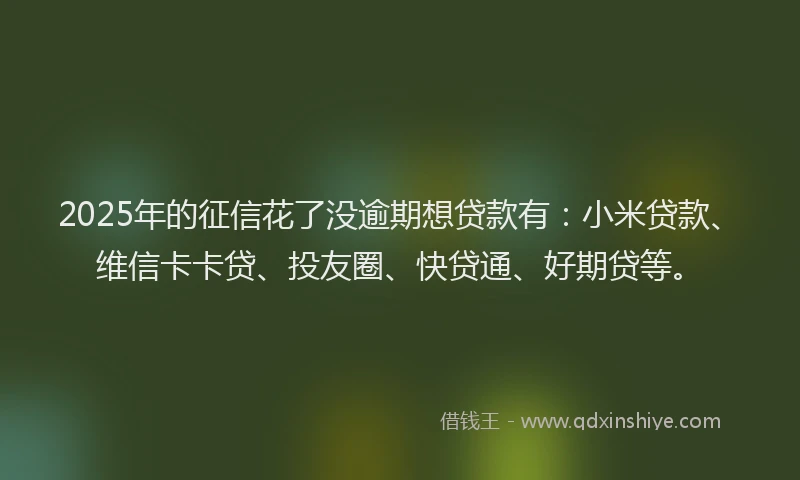 2025年的征信花了没逾期想贷款有：小米贷款、维信卡卡贷、投友圈、快贷通、好期贷等。
