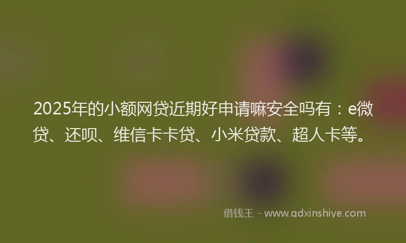 2025年的小额网贷近期好申请嘛安全吗有：e微贷、还呗、维信卡卡贷、小米贷款、超人卡等。