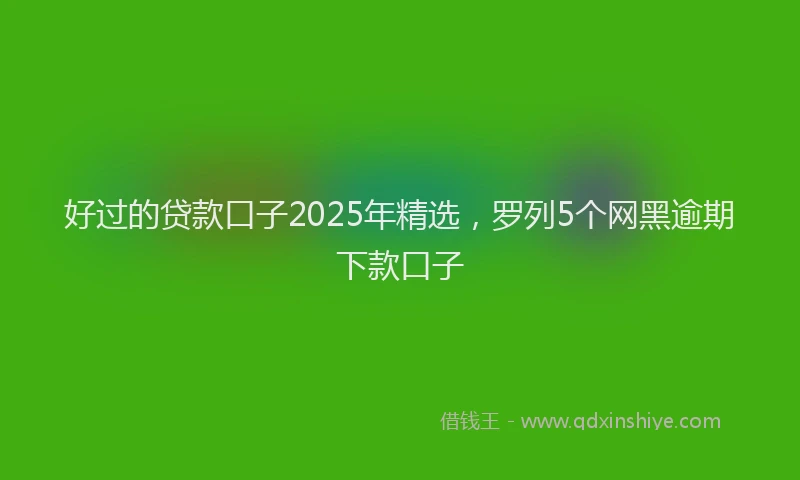 好过的贷款口子2025年精选，罗列5个网黑逾期下款口子