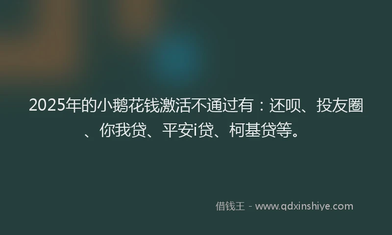 2025年的小鹅花钱激活不通过有：还呗、投友圈、你我贷、平安i贷、柯基贷等。