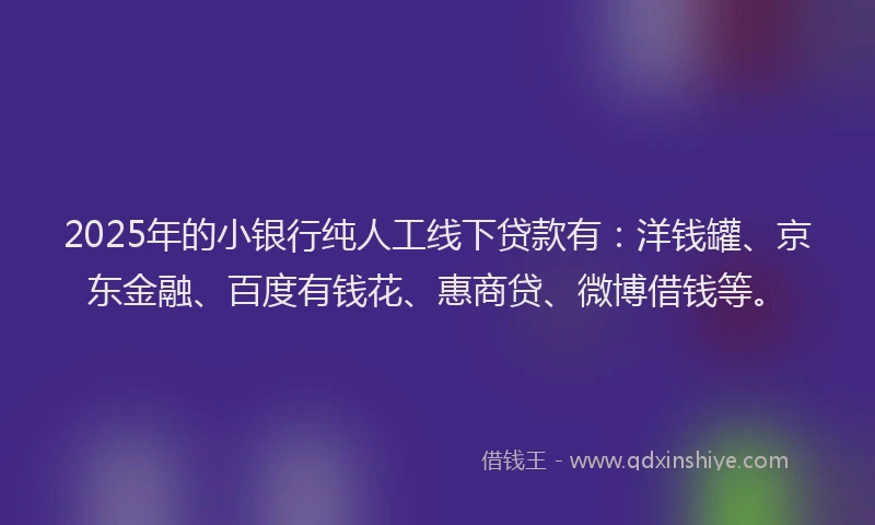2025年的小银行纯人工线下贷款有：洋钱罐、京东金融、百度有钱花、惠商贷、微博借钱等。
