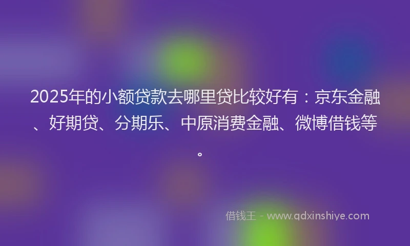 2025年的小额贷款去哪里贷比较好有：京东金融、好期贷、分期乐、中原消费金融、微博借钱等。
