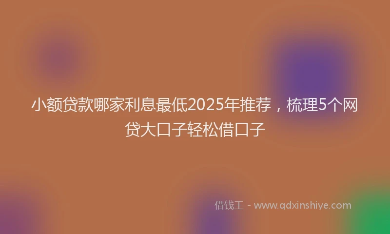 小额贷款哪家利息最低2025年推荐，梳理5个网贷大口子轻松借口子