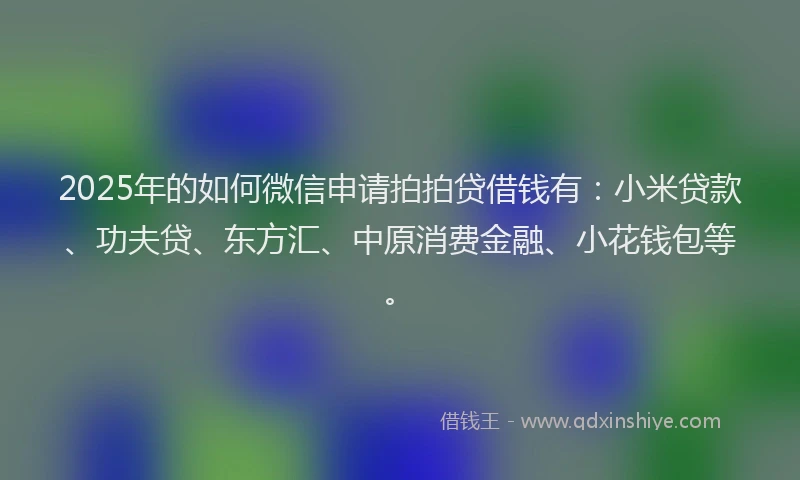 2025年的如何微信申请拍拍贷借钱有：小米贷款、功夫贷、东方汇、中原消费金融、小花钱包等。