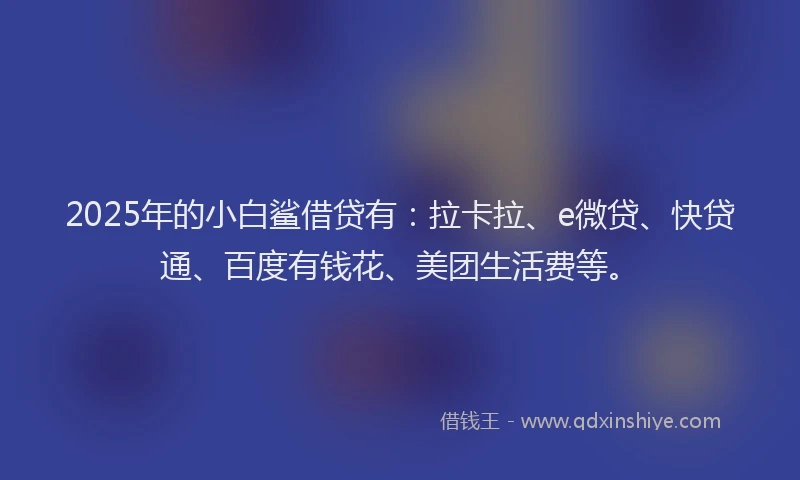 2025年的小白鲨借贷有：拉卡拉、e微贷、快贷通、百度有钱花、美团生活费等。