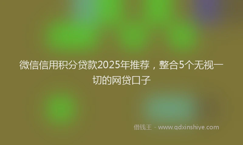 微信信用积分贷款2025年推荐，整合5个无视一切的网贷口子