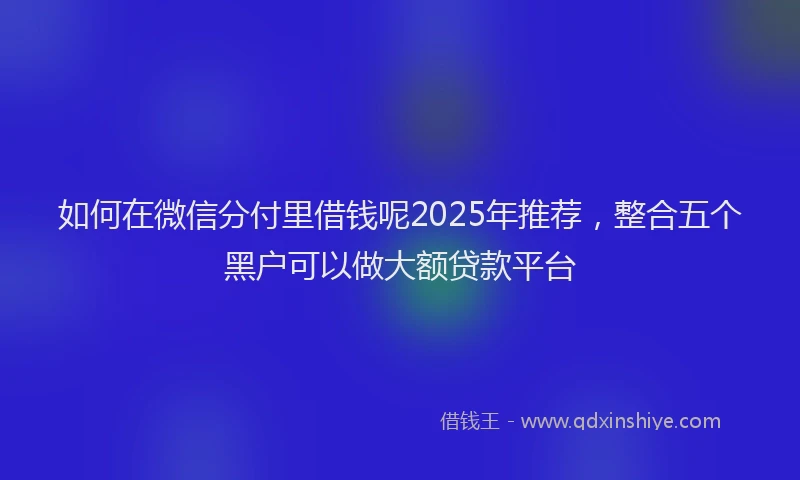 如何在微信分付里借钱呢2025年推荐，整合五个黑户可以做大额贷款平台