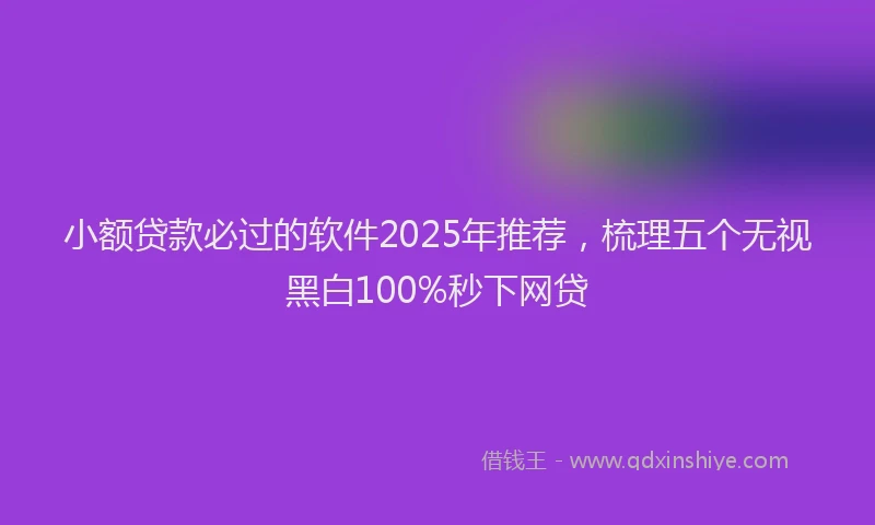 小额贷款必过的软件2025年推荐，梳理五个无视黑白100%秒下网贷