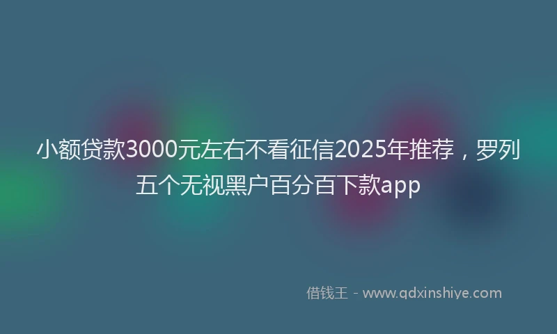 小额贷款3000元左右不看征信2025年推荐，罗列五个无视黑户百分百下款app