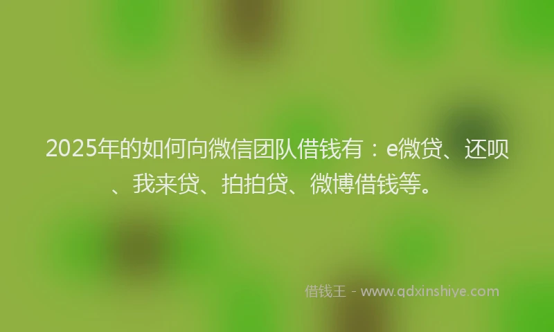 2025年的如何向微信团队借钱有：e微贷、还呗、我来贷、拍拍贷、微博借钱等。