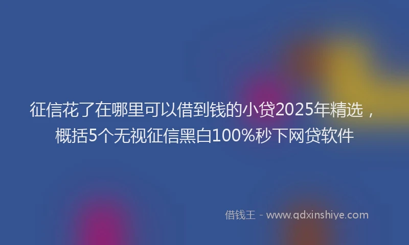 征信花了在哪里可以借到钱的小贷2025年精选，概括5个无视征信黑白100%秒下网贷软件