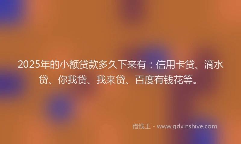 2025年的小额贷款多久下来有：信用卡贷、滴水贷、你我贷、我来贷、百度有钱花等。