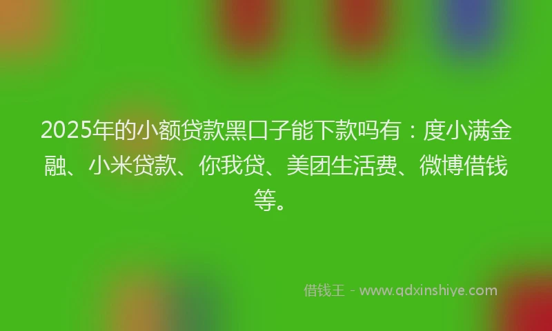 2025年的小额贷款黑口子能下款吗有：度小满金融、小米贷款、你我贷、美团生活费、微博借钱等。