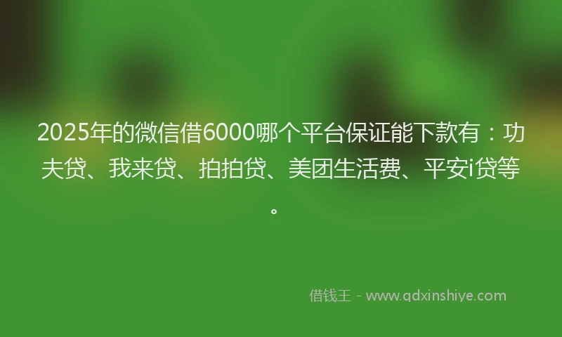 2025年的微信借6000哪个平台保证能下款有：功夫贷、我来贷、拍拍贷、美团生活费、平安i贷等。
