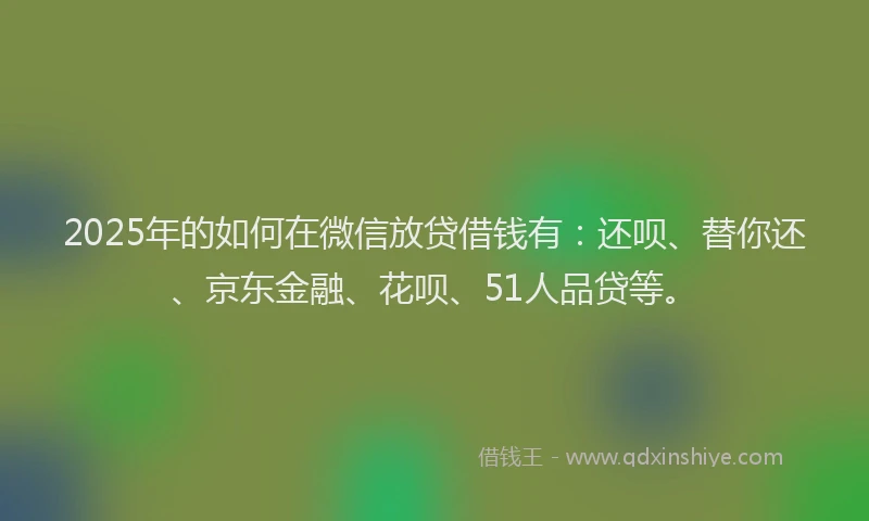 2025年的如何在微信放贷借钱有：还呗、替你还、京东金融、花呗、51人品贷等。