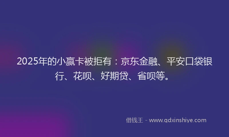 2025年的小赢卡被拒有：京东金融、平安口袋银行、花呗、好期贷、省呗等。