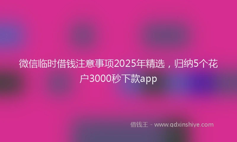 微信临时借钱注意事项2025年精选，归纳5个花户3000秒下款app