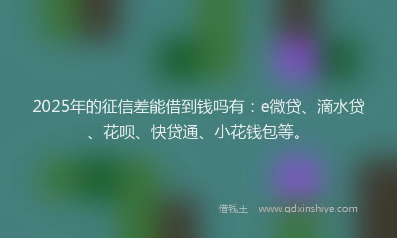 2025年的征信差能借到钱吗有：e微贷、滴水贷、花呗、快贷通、小花钱包等。