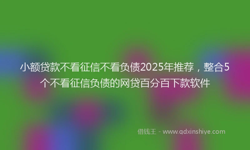 小额贷款不看征信不看负债2025年推荐，整合5个不看征信负债的网贷百分百下款软件
