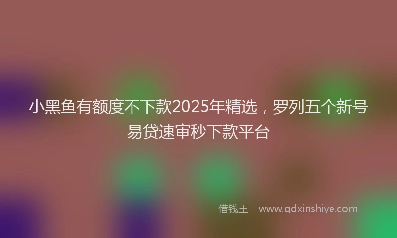 小黑鱼有额度不下款2025年精选，罗列五个新号易贷速审秒下款平台