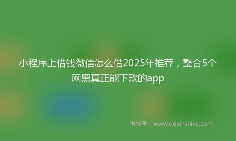 小程序上借钱微信怎么借2025年推荐，整合5个网黑真正能下款的app