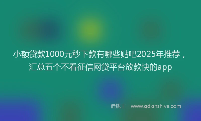 小额贷款1000元秒下款有哪些贴吧2025年推荐，汇总五个不看征信网贷平台放款快的app