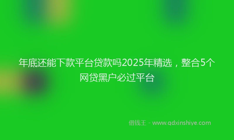 年底还能下款平台贷款吗2025年精选，整合5个网贷黑户必过平台