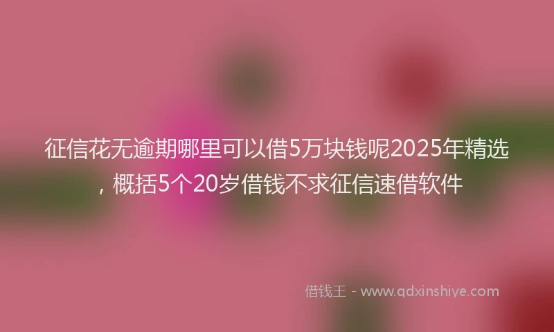 征信花无逾期哪里可以借5万块钱呢2025年精选，概括5个20岁借钱不求征信速借软件