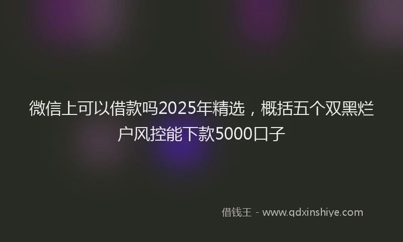 微信上可以借款吗2025年精选，概括五个双黑烂户风控能下款5000口子