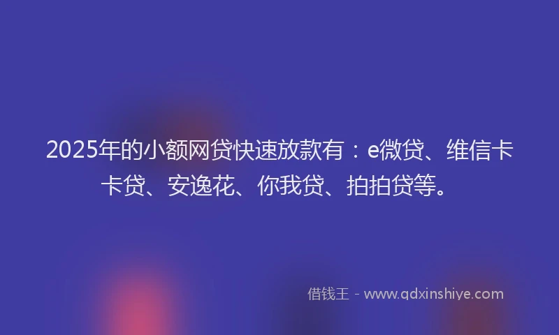 2025年的小额网贷快速放款有：e微贷、维信卡卡贷、安逸花、你我贷、拍拍贷等。