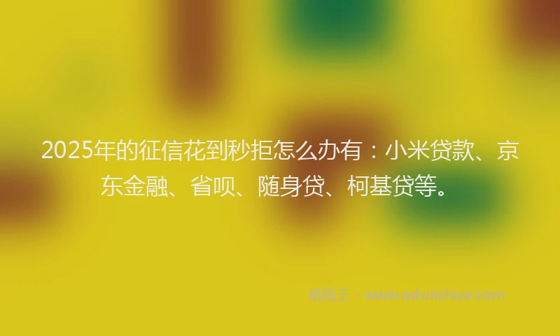 2025年的征信花到秒拒怎么办有：小米贷款、京东金融、省呗、随身贷、柯基贷等。