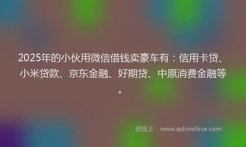 2025年的小伙用微信借钱卖豪车有：信用卡贷、小米贷款、京东金融、好期贷、中原消费金融等。