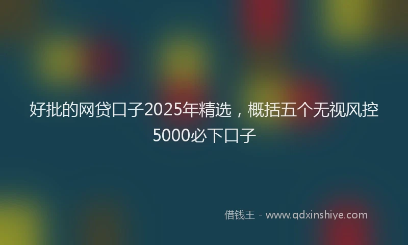 好批的网贷口子2025年精选，概括五个无视风控5000必下口子