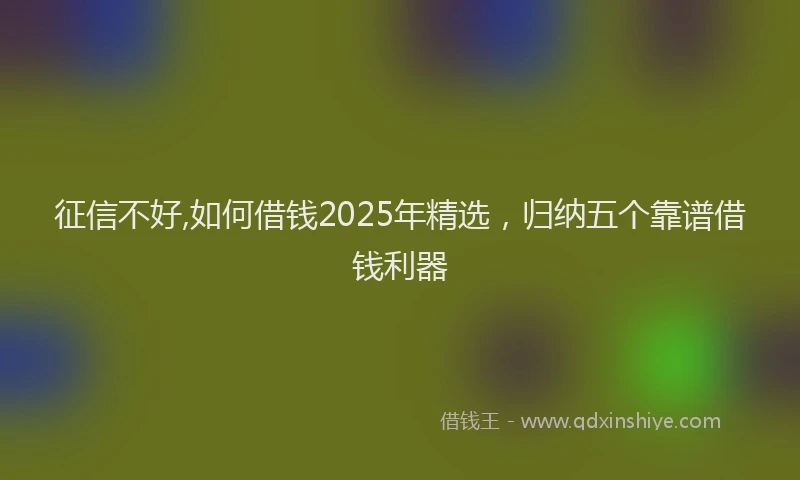 征信不好,如何借钱2025年精选，归纳五个靠谱借钱利器