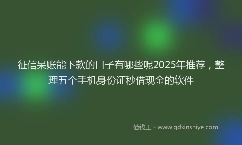 征信呆账能下款的口子有哪些呢2025年推荐，整理五个手机身份证秒借现金的软件