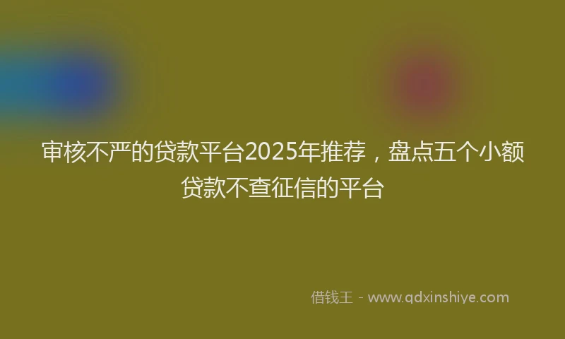 审核不严的贷款平台2025年推荐，盘点五个小额贷款不查征信的平台