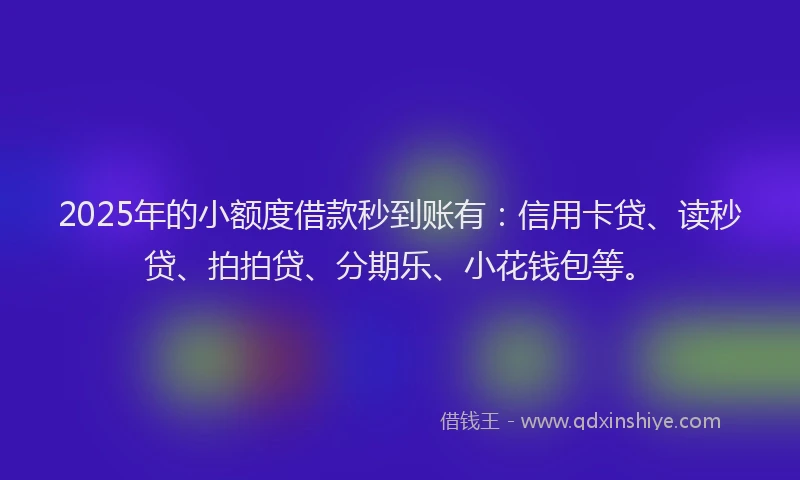 2025年的小额度借款秒到账有：信用卡贷、读秒贷、拍拍贷、分期乐、小花钱包等。
