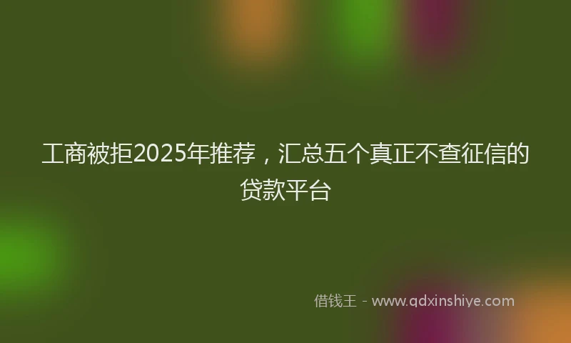 工商被拒2025年推荐，汇总五个真正不查征信的贷款平台