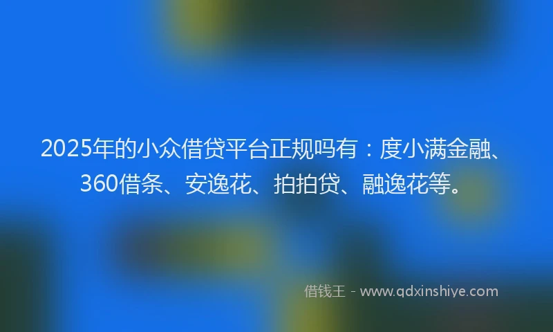 2025年的小众借贷平台正规吗有：度小满金融、360借条、安逸花、拍拍贷、融逸花等。