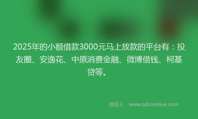 2025年的小额借款3000元马上放款的平台有：投友圈、安逸花、中原消费金融、微博借钱、柯基贷等。