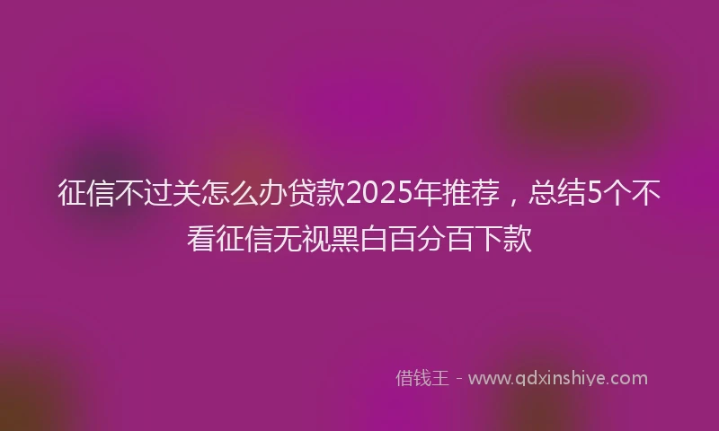 征信不过关怎么办贷款2025年推荐，总结5个不看征信无视黑白百分百下款