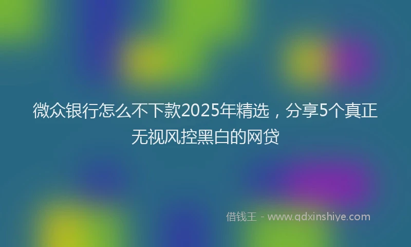 微众银行怎么不下款2025年精选，分享5个真正无视风控黑白的网贷